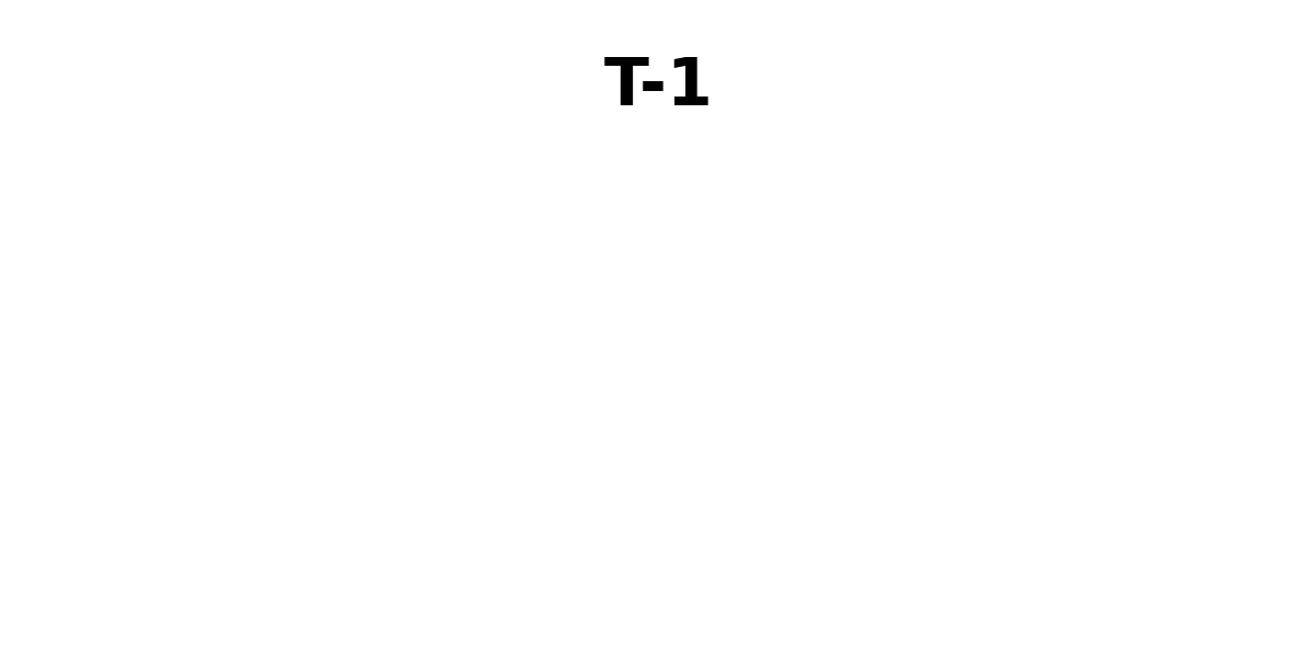 T-1